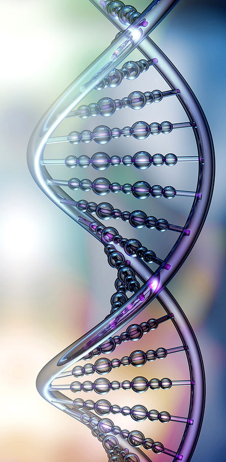 DNA