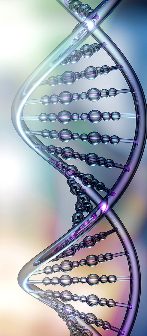 DNA