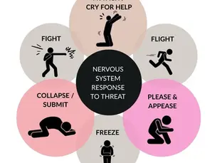 Survival responses to threat and trauma