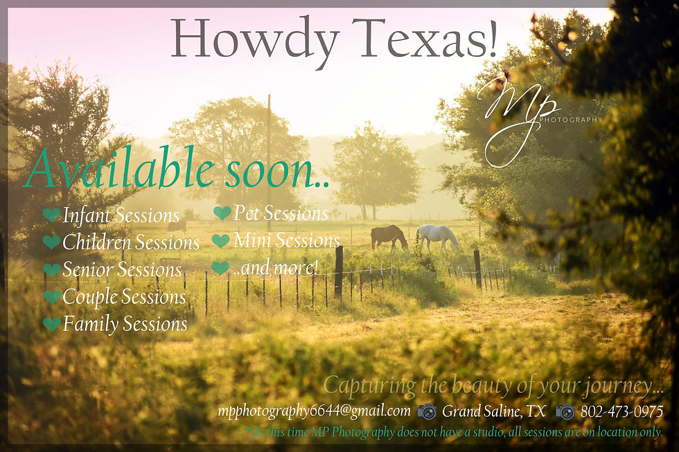 HowdyTexas.jpg