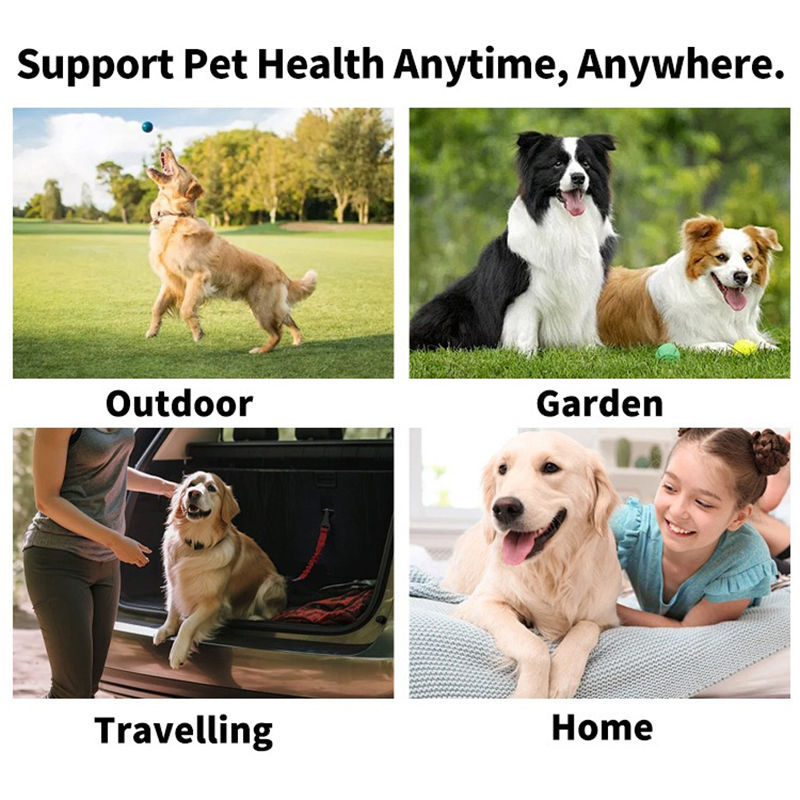 Thumbnail: Pet cleaning products Disposable finger toothbrush Pet teeth cleaning finger cov