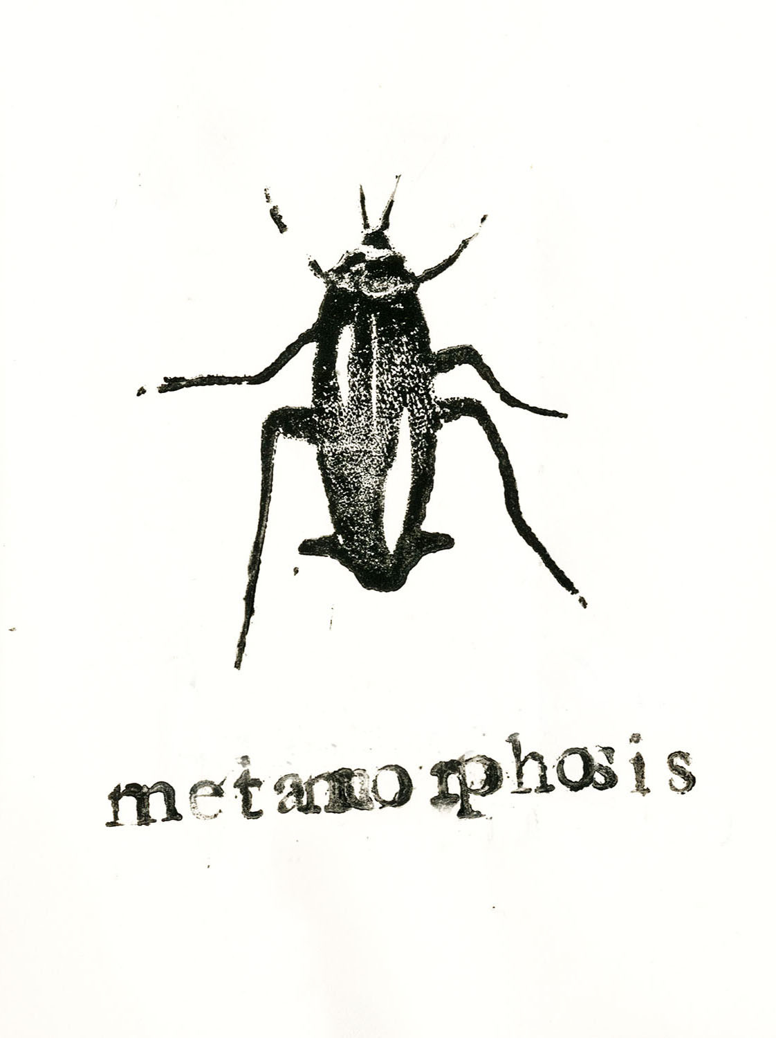 Metamorphosis