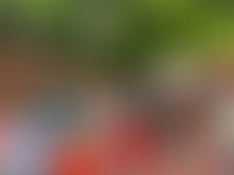 Dharna Before Parliament on 21.07.2022 - INBOC/AIBOBOA Participation.