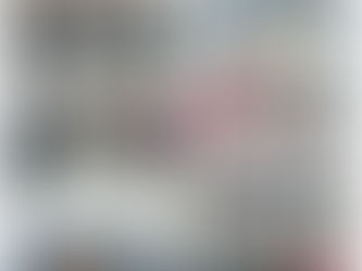 New Delhi Zone Activities - Cluster Meetings