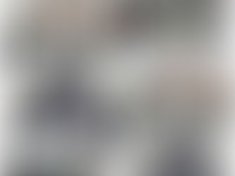 Bhopal Zone Activities - Regional Structured Meeting at Ratlam