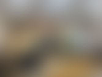 Baroda Zone Activities - Regional Structured Meeting with our Valsad Region