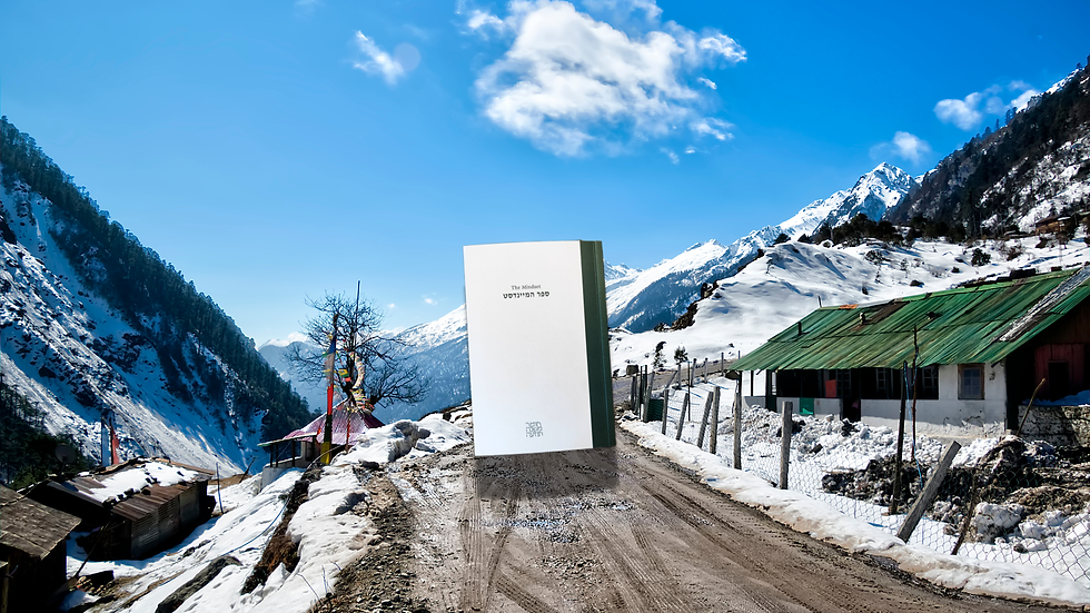 ספר המיינדסט – ספר כיס למסע בהודו