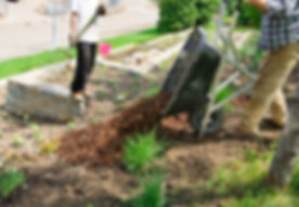 AdobeStock_32930506.jpeg