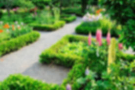 AdobeStock_179876403.jpeg