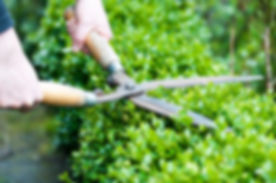 AdobeStock_70569449.jpeg