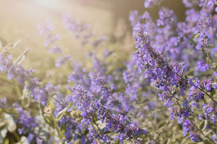 AdobeStock_247601493.jpeg