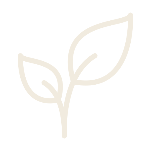 plante.png