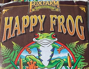HAPPY FROG_edited.jpg
