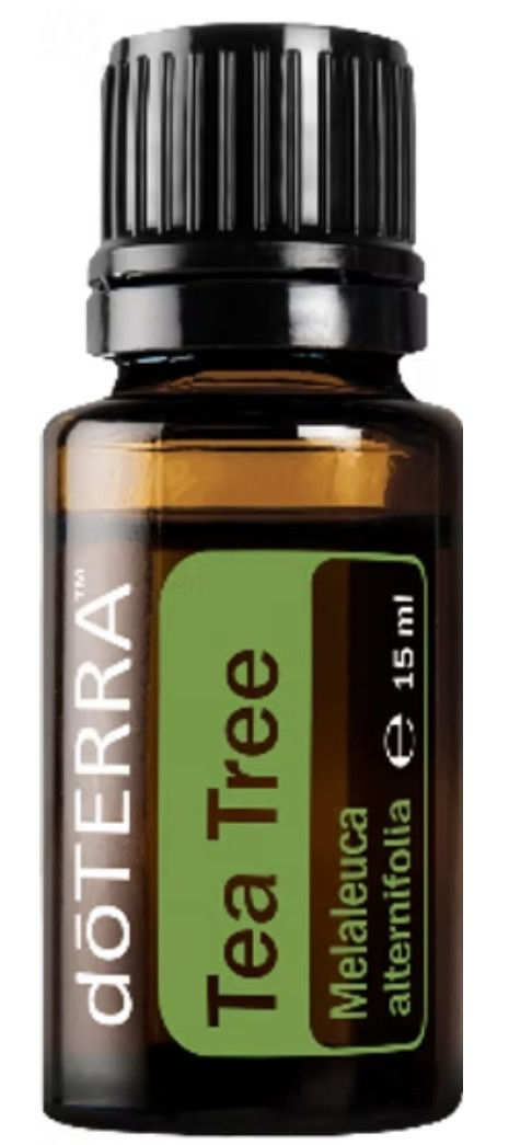 Huile essentielle Arbre à thé Tea Tree doTERRA