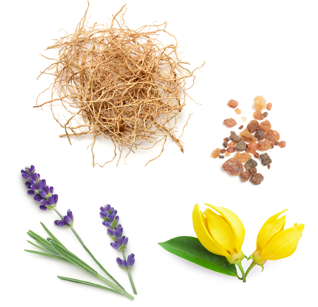 Miniature : dōTERRA Peace® I Mélange du renouveau I Aromathérapie émotionnelle