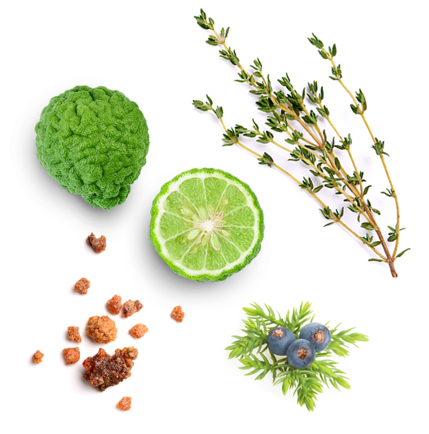 Miniature : dōTERRA Forgive® I Mélange du renouveau I Aromathérapie émotionne