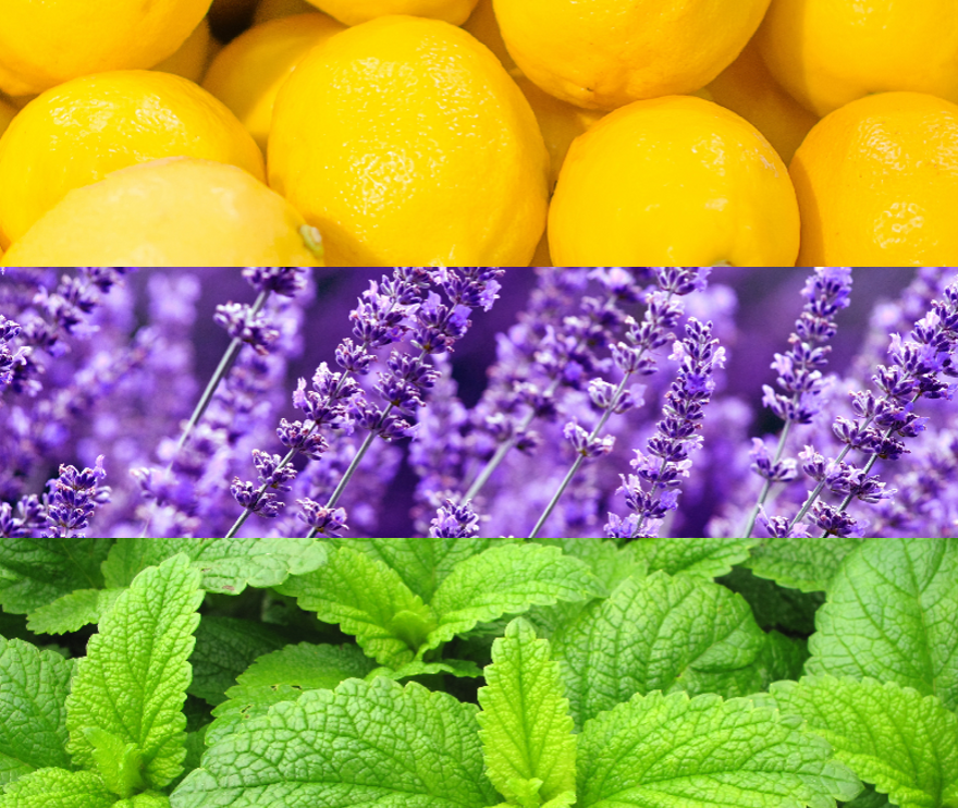 Miniature : Gélules TriEase ™  - Complément alimentaire doterra