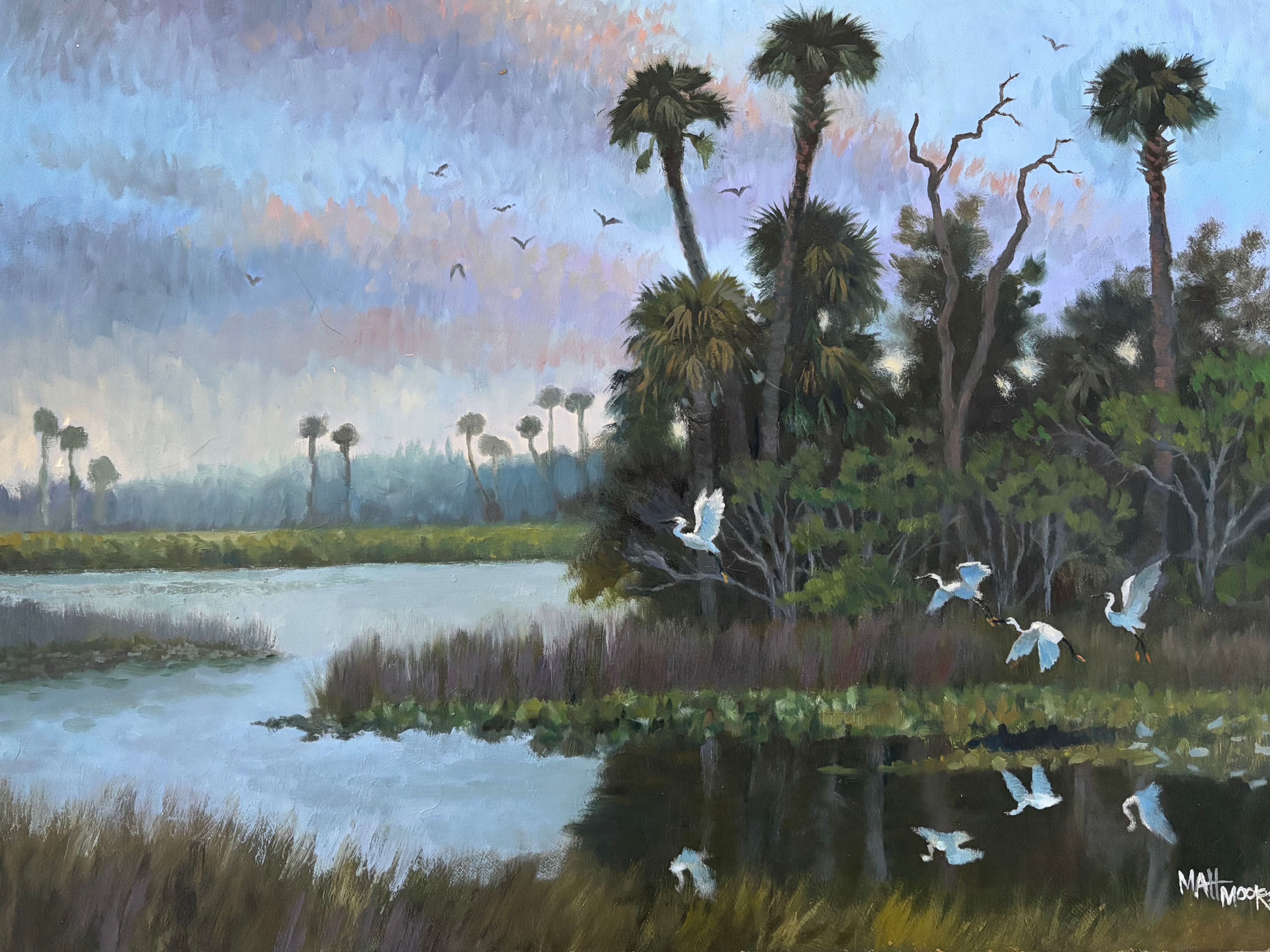 Wetlands Morning Light