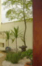 Consultório Odontológico