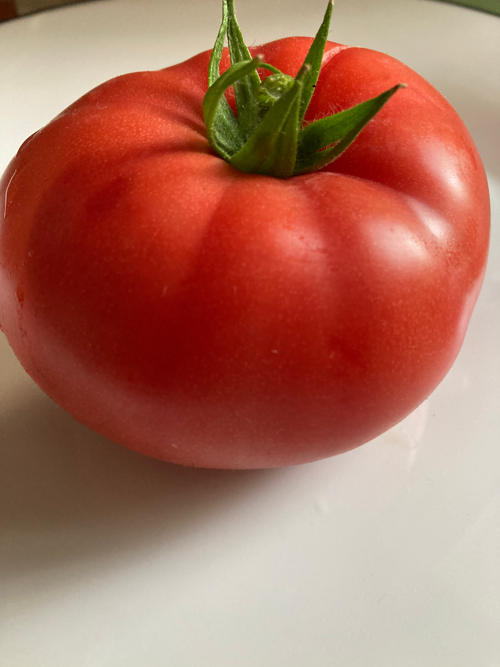 Graines de Tomate Feo de Navarre - Tomate rustique Espagnole - Semences reproductibles - Les jardins de Valou