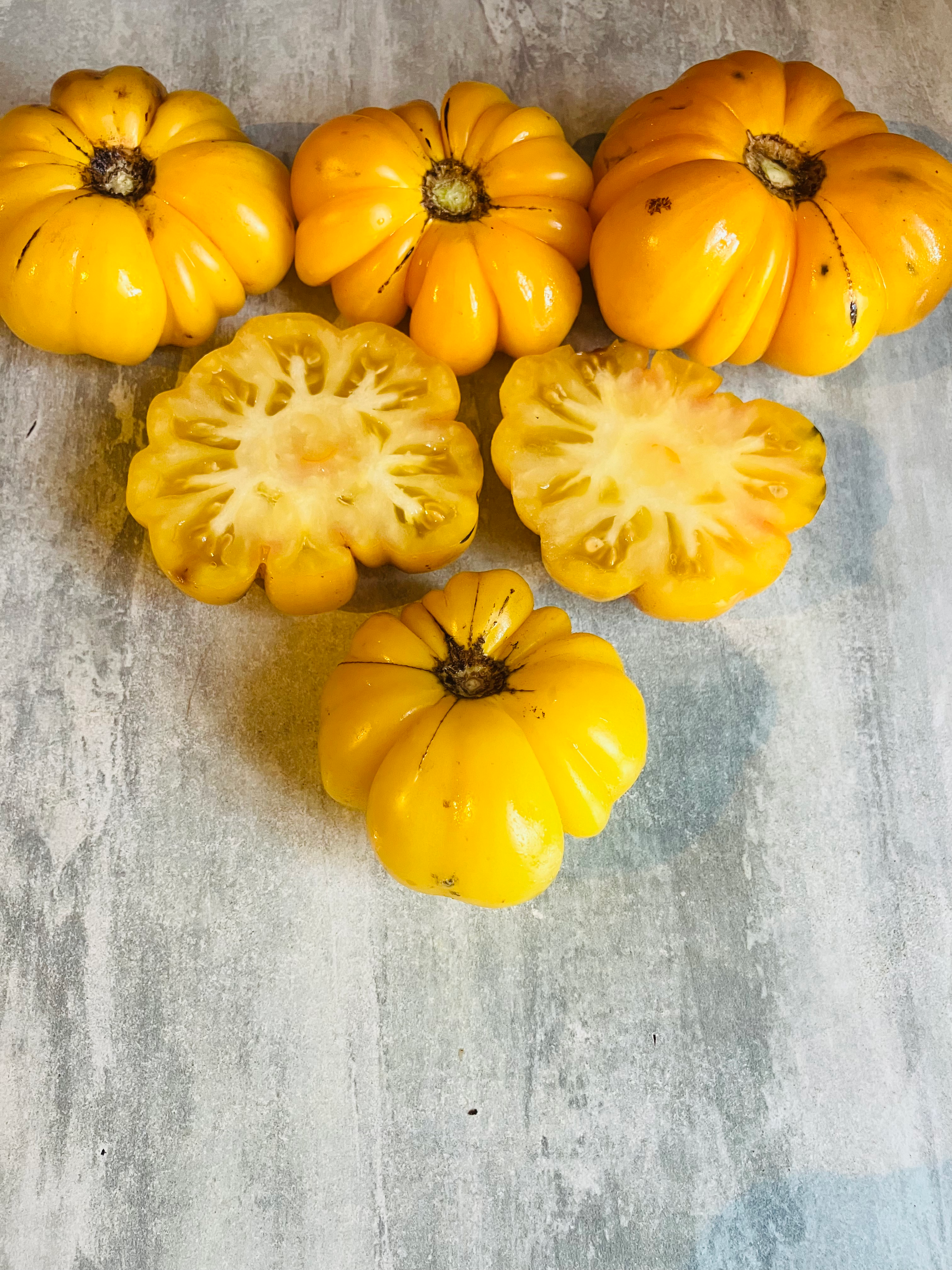Graines de tomate Jaune Côtelée de Montlouis - Grosse tomate côtelée jaune - semences reproductibles - Les jardins de Valou