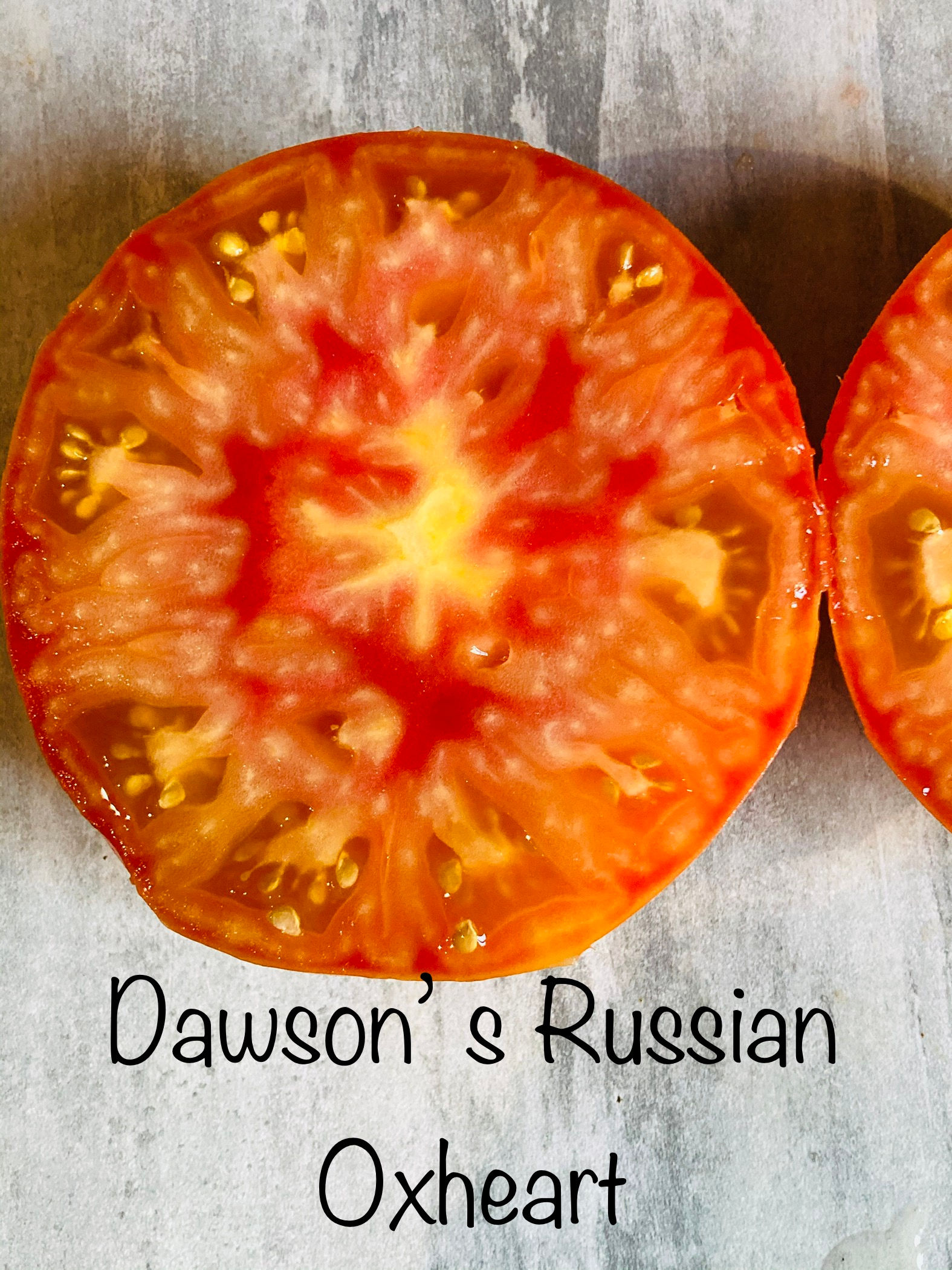 Graines de tomate Dawson Russian Oxheart - Tomate orange délicieuse - Semences reproductibles - Les jardins de Valou