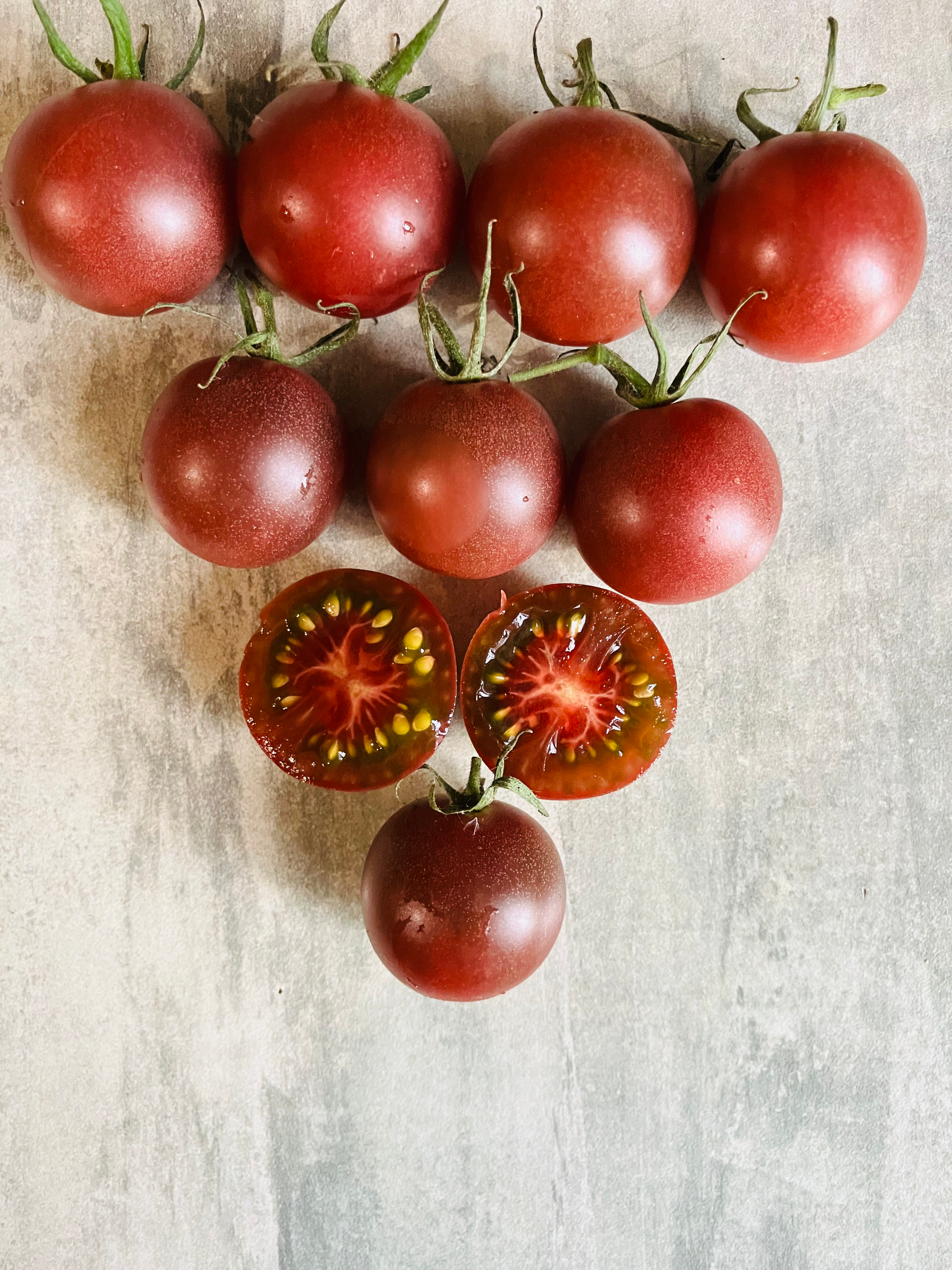 Graines de tomate Honkin Big Black Cherry - Tomate cerise noire sucrée - Semences reproductibles - Les jardins de Valou