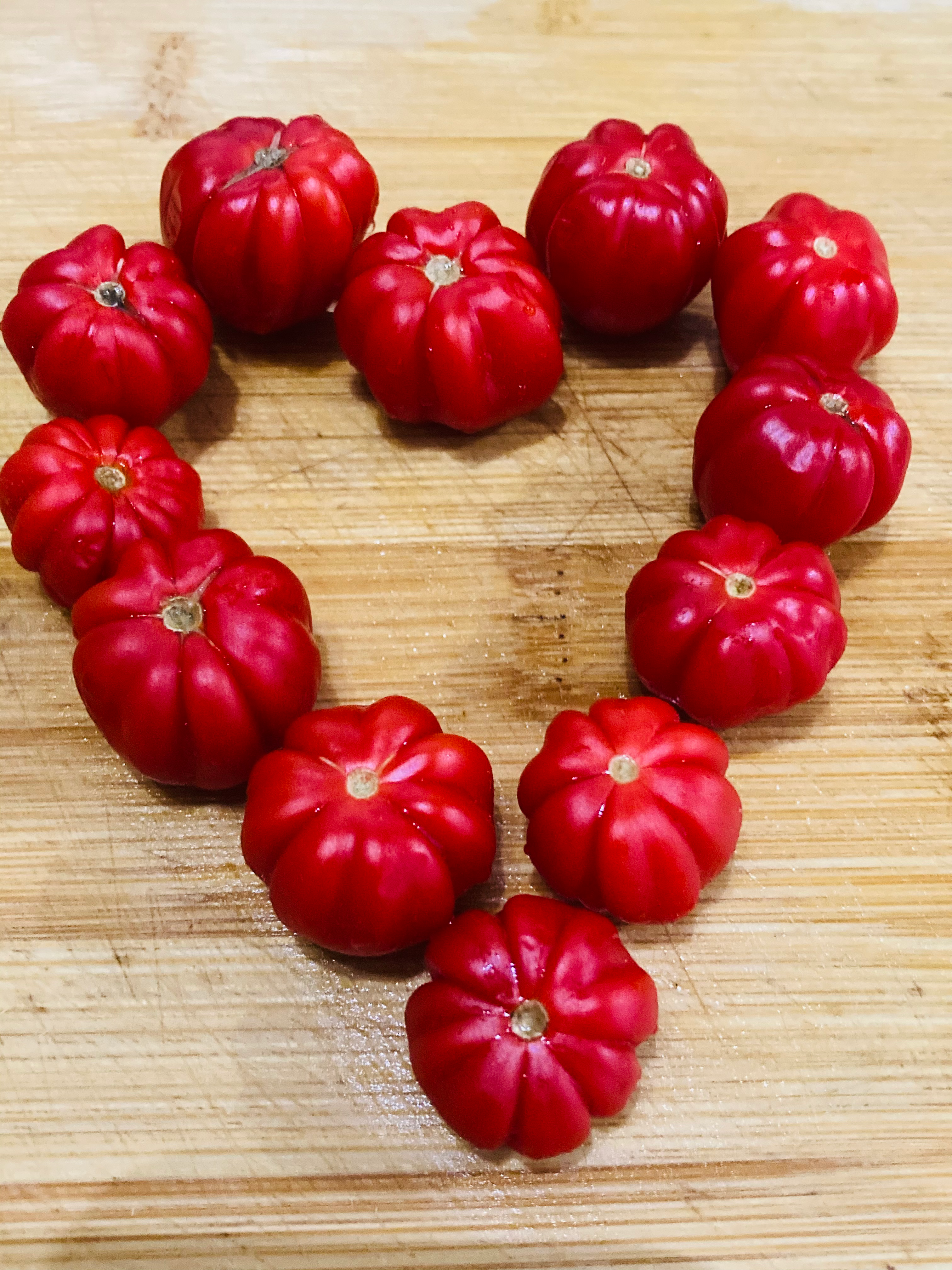 Graines de tomate Cherry Accordéon - tomate cerise rouge multiflora - semences reproductibles - Les Jardins de Valou