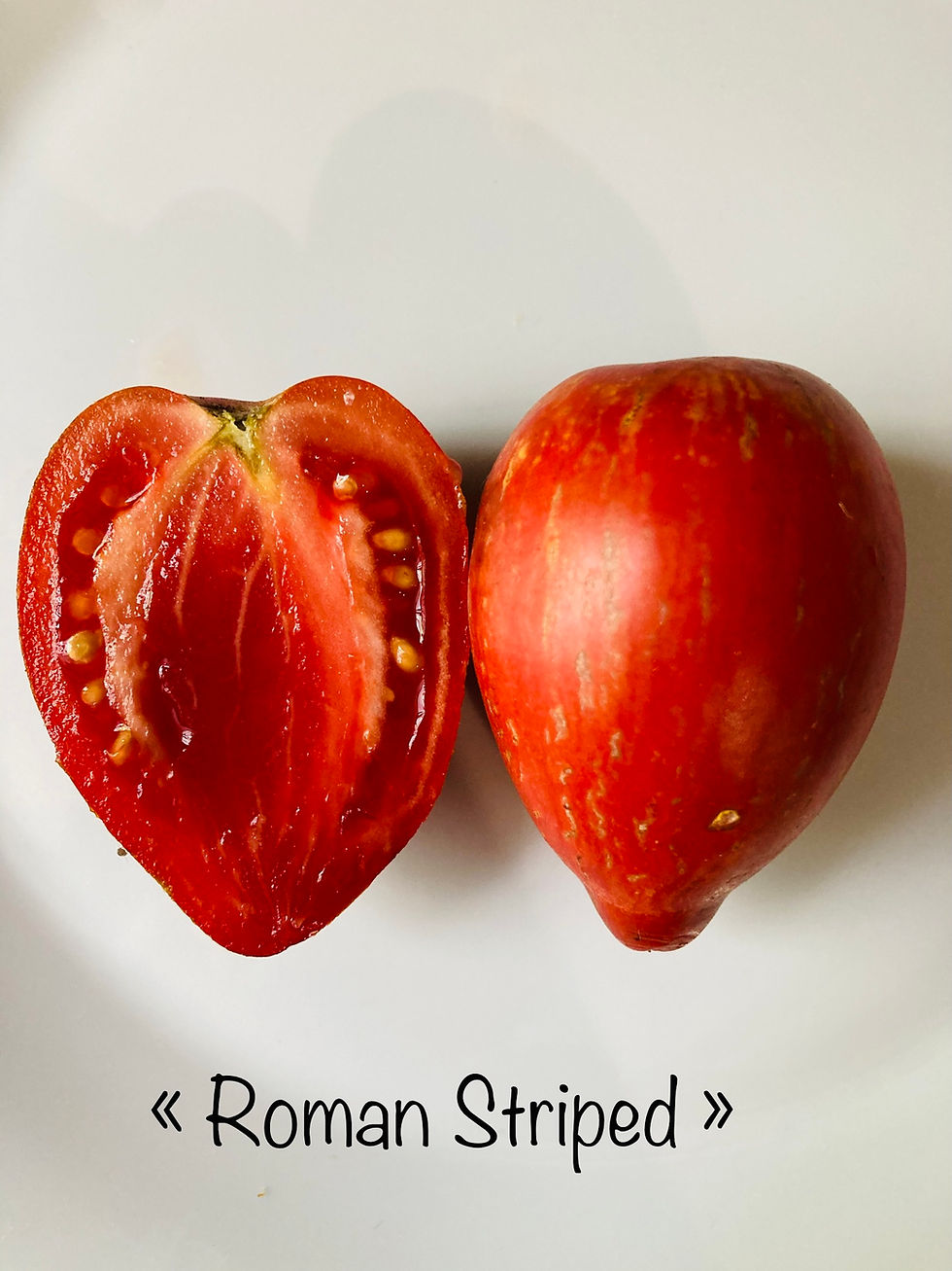 Graines de tomate Roman Striped - Tomate striée - Semences reproductibles - Les jardins de Valou