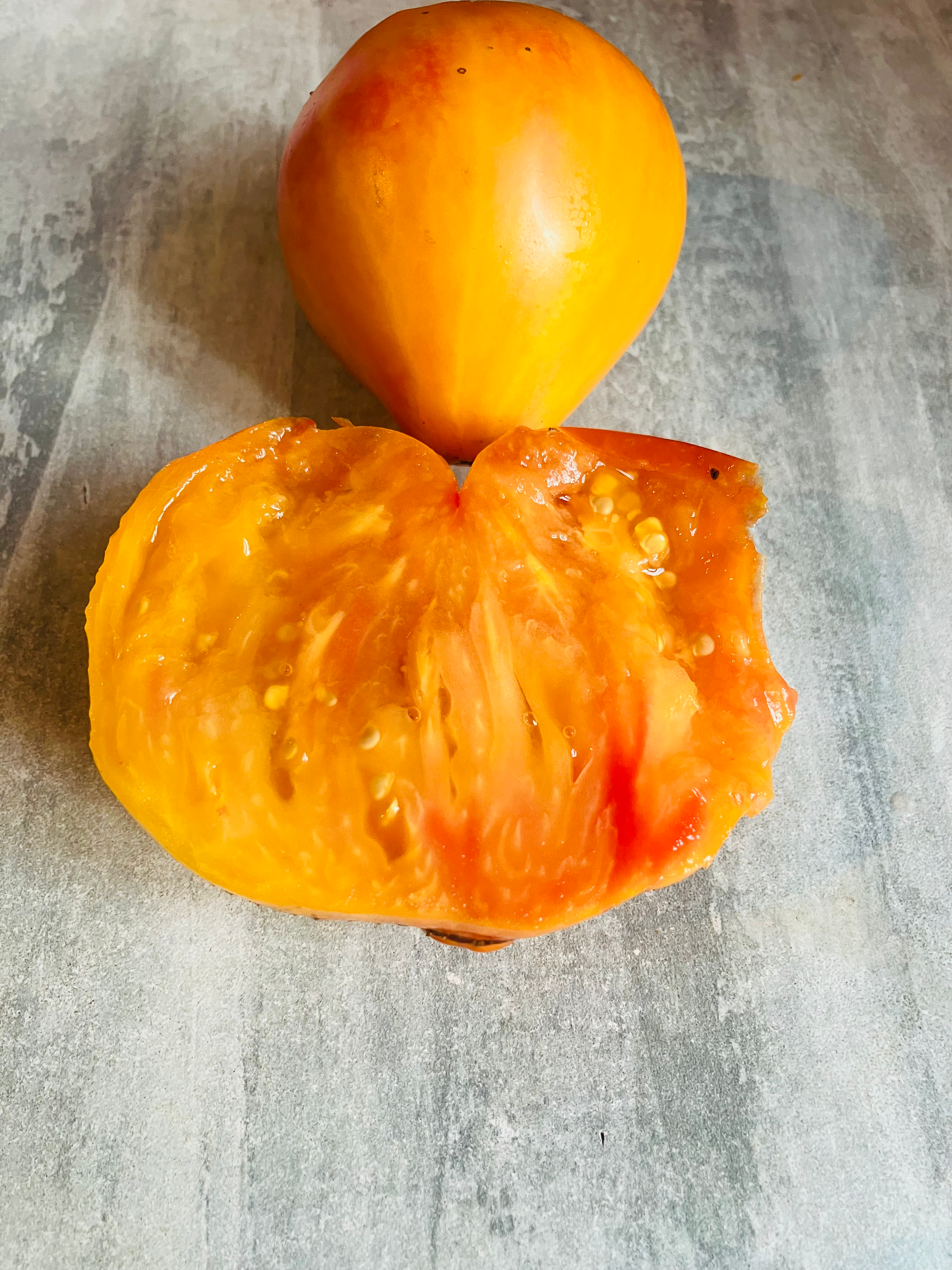 Cœur de Zèbre Abricot