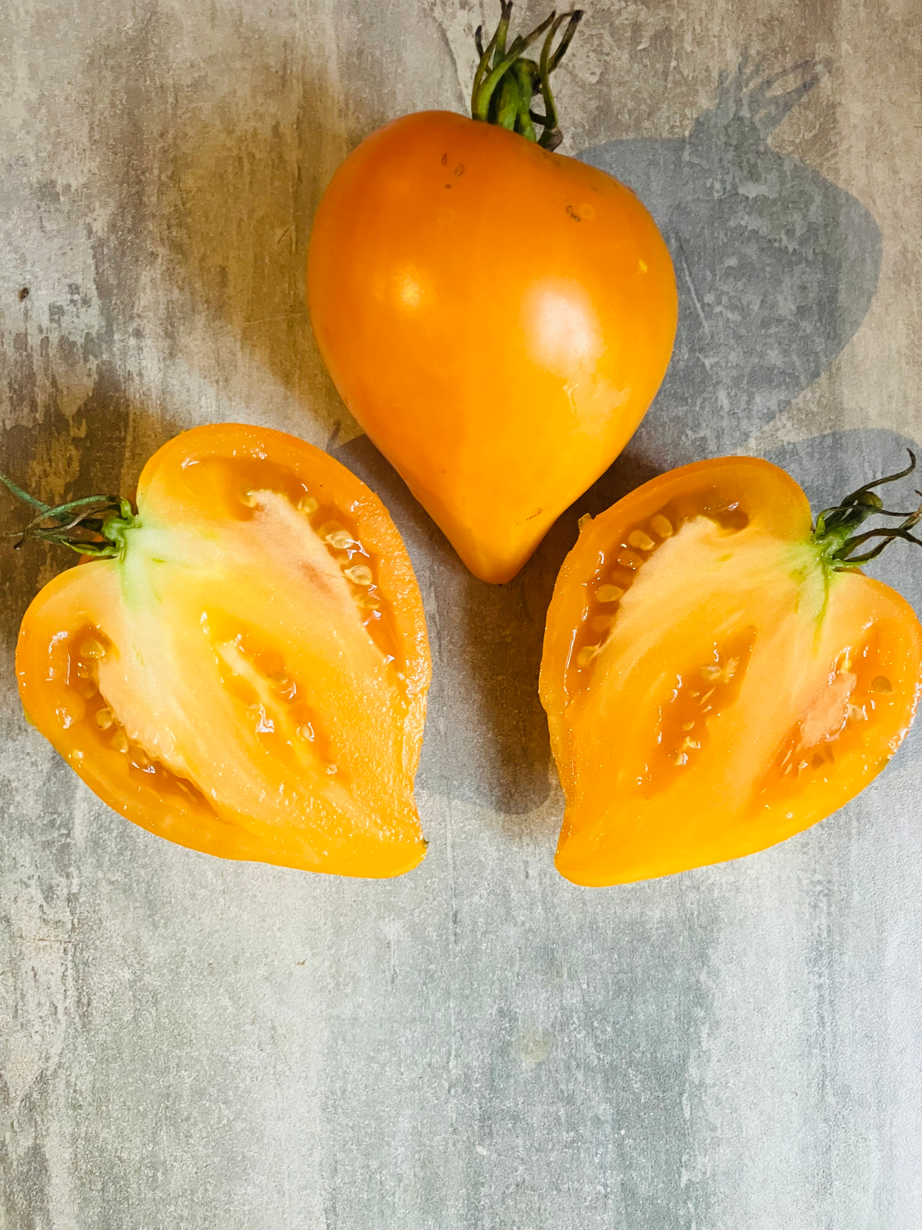 Zailiyskiy Alatau Yellow