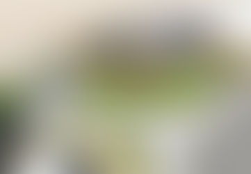 FLEETWOOD PROM PLANS IN THE SPOTLIGHT