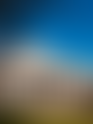 University in the USA: how international students can study legally and build an international career