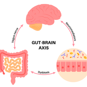 The Crucial Link Between Gut Health and Mental Well-Being