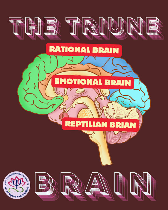 The Triune Brain