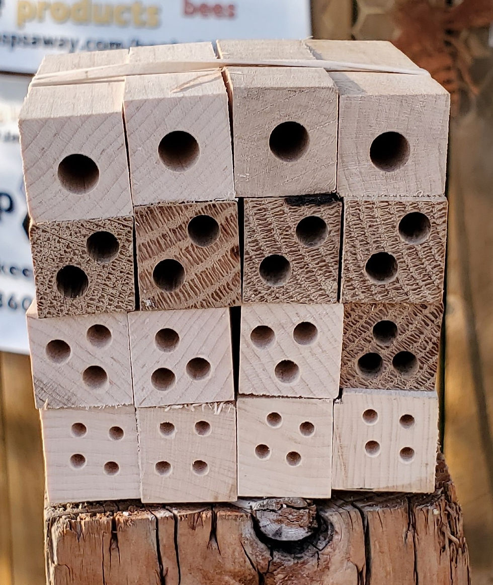 Thumbnail: Modular Replacement Nesting Blocks