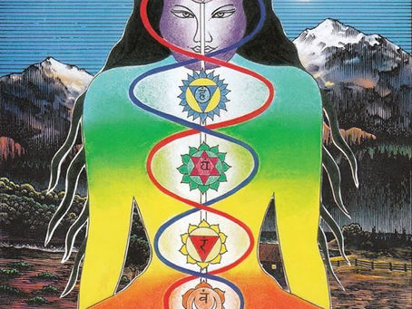 What are the Nadis ?
