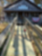 72072791487__49CF0600-9FA2-4A29-948C-1A1E8C330E36.HEIC