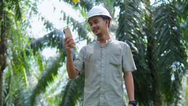 Libérer le pouvoir des outils de surveillance de la déforestation pour la conformité à l’EUDR