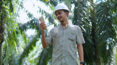 Libérer le pouvoir des outils de surveillance de la déforestation pour la conformité à l’EUDR