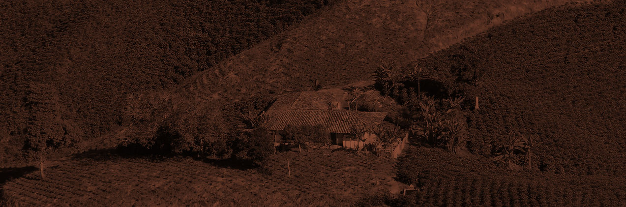 About Koltiva alt 1.jpg