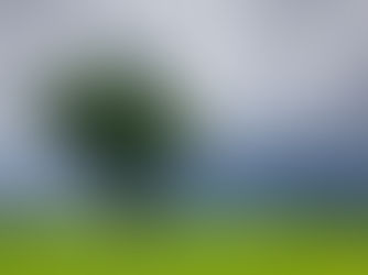 Building Nature-Based Project Portfolios: Tech to Streamline & De-risk Quality Project Development