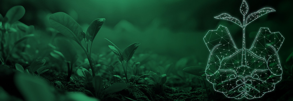 Background Image Feedback
