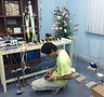 Respirometry set up