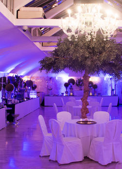 page de garde salle de reception gauche.jpg