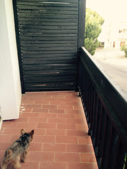 FullSizeRender(23) - Copie.jpg