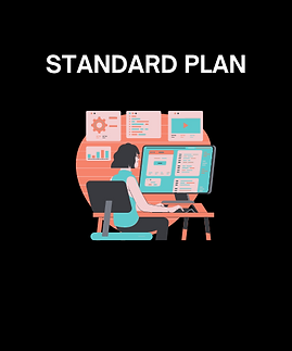 standard plan logo.png