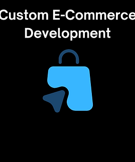 Custom E-commerce Development.png