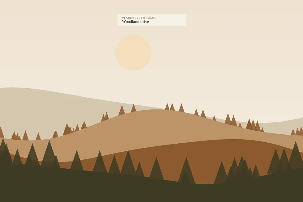 02-sporting-woodland-drive.webp