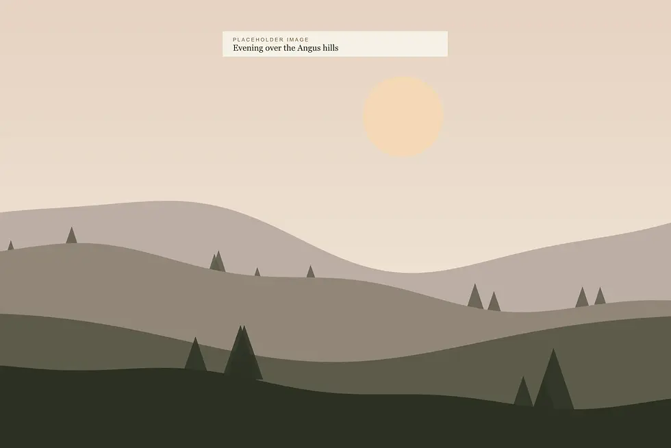 08-estate-evening-hills.webp